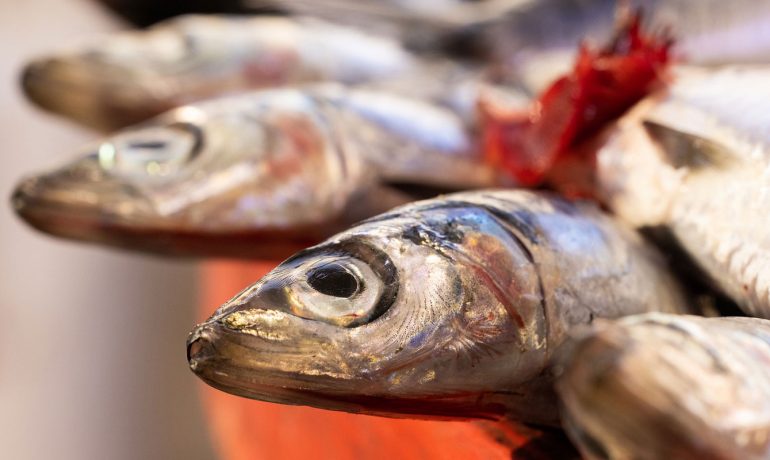 Düzce evden eve taşımacılık, Düzce evden eve asansörlü taşımacılık, Düzce evden eve nakliyat, Düzce evden eve asansörlü nakliyat, Düzce işyeri taşımacılık, Düzce işyeri nakliyat, Düzce parça eşya taşımacılık, Düzce nakliyat, Düzce taşımacılık