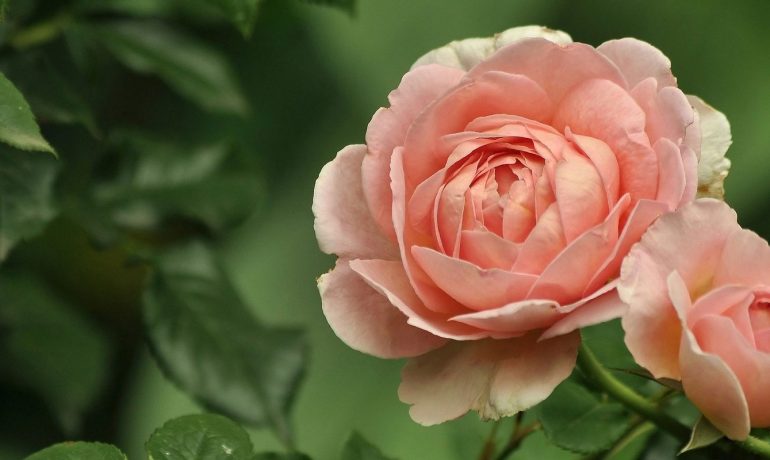 Isparta evden eve taşımacılık, Isparta evden eve nakliyat, Isparta evden eve asansörlü taşımacılık, Isparta evden eve asansörlü nakliyat, Isparta asansörlü taşımacılık, Isparta asansörlü nakliyat, Isparta evden eve taşımacılık firmaları, Isparta evden eve nakliyat firmaları, Isparta ilden ile nakliyat firmaları, Isparta ilden ile taşımacılık firmaları, Isparta işyeri taşımacılık, Isparta işyeri nakliyat, Isparta asansörlü taşımacılık firmaları, Isparta asansörlü nakliyat firmaları