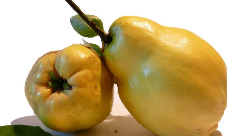 Kırşehir evden eve taşımacılık, Kırşehir evden eve nakliyat, Kırşehir evden eve asansörlü taşımacılık, Kırşehir evden eve asansörlü nakliyat, Kırşehir evden eve taşıma firmaları, Kırşehir evden eve nakliyat firmaları, Kırşehir asansörlü taşımacılık firmaları, Kırşehir asansörlü nakliyat firmaları