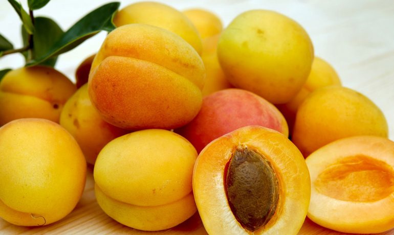 Malatya ev taşıma firmaları, Malatya ev nakliyat firmaları, Malatya asansörlü ev taşıma firmaları, Malatya asansörlü ev nakliyat firmaları, Malatya evden eve taşımacılık firmaları, Malatya evden eve nakliyat firmaları