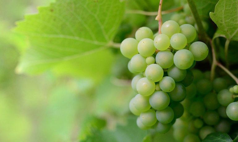 Muş evden eve taşımacılık, Muş evden eve nakliyat, Muş evden eve asansörlü nakliyat, Muş evden eve asansörlü taşımacılık, Muş ev taşıma firmaları, Muş ev nakliye firmaları, Muş asansörlü nakliyat firmaları, Muş asansörlü taşımacılık firmaları