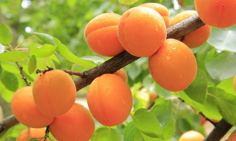 Nevşehir evden eve taşımacılık, Nevşehir evden eve nakliyat, Nevşehir evden eve asansörlü taşımacılık, Nevşehir evden eve asansörlü nakliyat, Nevşehir ev taşıma firmaları, Nevşehir ev nakliyat firmaları, Nevşehir asansörlü taşıma firmaları, Nevşehir asansörlü nakliyat firmaları