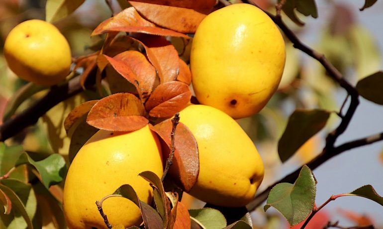 Niğde evden eve taşımacılık, Niğde evden eve nakliyat, Niğde evden eve asansörlü taşımacılık, Niğde evden eve asansörlü nakliyat, Niğde nakliyat firmaları, Niğde taşımacılık firmaları