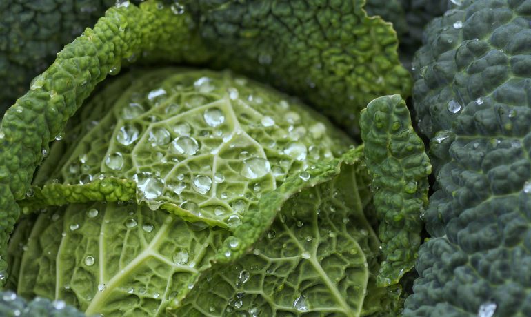 Osmaniye evden eve taşımacılık, Osmaniye evden eve nakliyat, Osmaniye evden eve asansörlü taşımacılık, Osmaniye evden eve asansörlü taşımacılık, Osmaniye işyeri taşımacılık, Osmaniye işyeri nakliyat, Osmaniye eşya taşımacılık, Osmaniye eşya nakliye