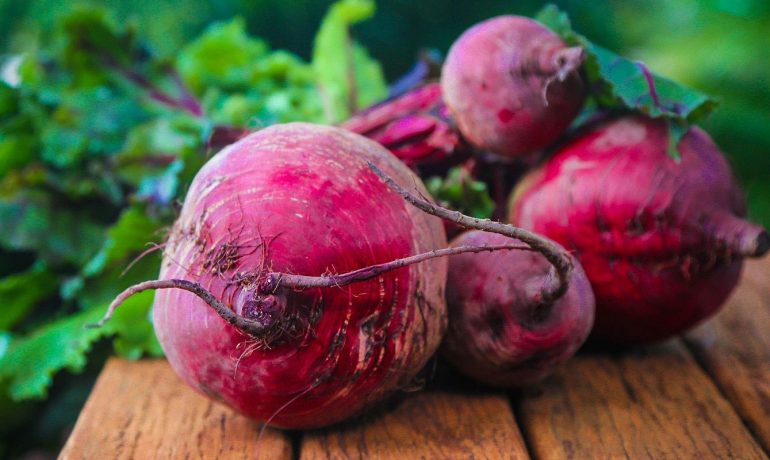 Samsun evden eve taşımacılık, Samsun evden eve nakliyat, Samsun evden eve asansörlü taşımacılık, Samsun evden eve asansörlü nakliyat, Samsun asansörlü taşımacılık, Samsun asansörlü nakliyat