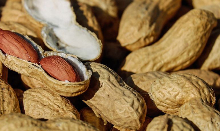 Siirt evden eve taşımacılık, Siirt evden eve nakliyat, Siirt evden eve asansörlü taşımacılık, Siirt evden eve asansörlü nakliyat, Siirt nakliyat, Siirt taşımacılık, Siirt asansörlü nakliyat, Siirt asansörlü taşımacılık