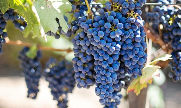 Tekirdağ Evden Eve Taşımacılık, Tekirdağ Evden Eve Nakliyat, Tekirdağ Evden Eve Asansörlü Taşımacılık, Tekirdağ Evden Eve Asansörlü Nakliyat, Tekirdağ taşımacılık, Tekirdağ nakliyat