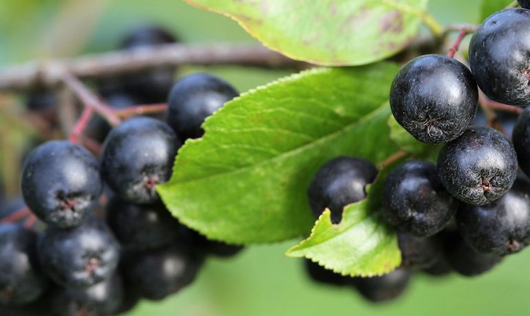 Yalova evden eve asansörlü taşımacılık, Yalova evden eve taşımacılık, Yalova asansörlü evden eve nakliyat, Yalova evden eve nakliyat, Yalova işyeri taşımacılığı, Yalova işyeri nakliyat, Yalova asansörlü taşımacılık, Yalova ilden ile taşımacılık, Yalova eşya taşıma