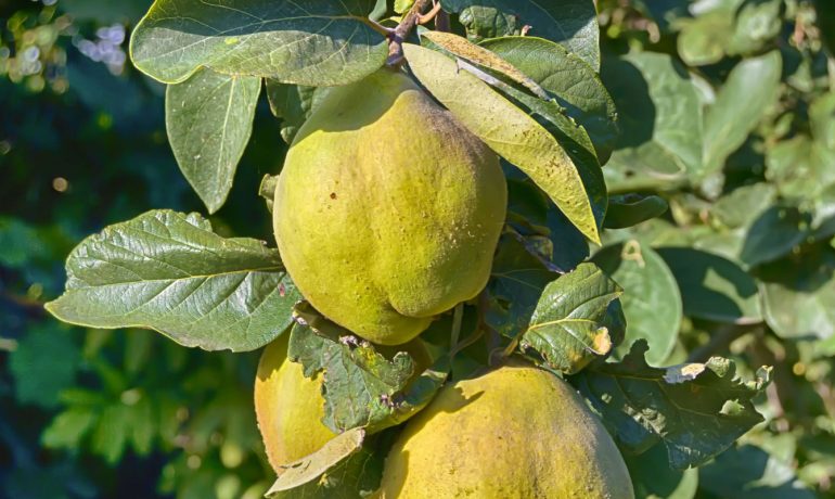 Yozgat evden eve taşımacılık, Yozgat evden eve asansörlü taşımacılık, Yozgat evden eve nakliyat, Yozgat evden eve asansörlü nakliyat, Yozgat nakliyat, Yozgat taşımacılık, Yozgat asansörlü nakliyat, Yozgat asansörlü taşımacılık, Yozgat işyeri taşımacılık, Yozgat işyeri nakliyat, Yozgat fabrika taşımacılık, Yozgat fabrika nakliyat