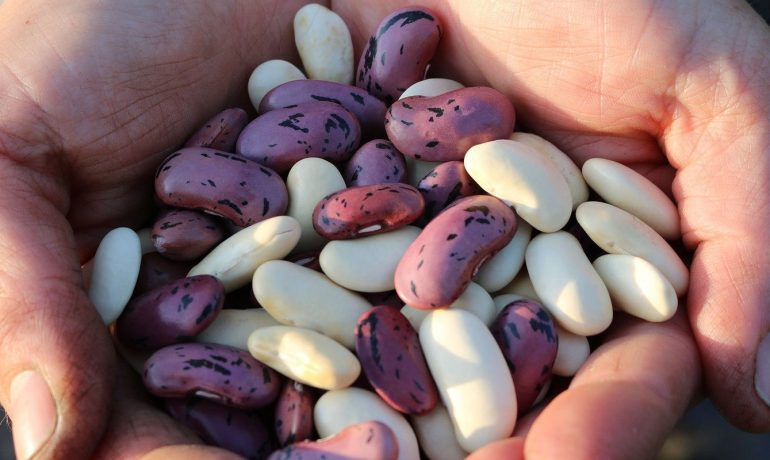 Zonguldak evden eve taşımacılık, Zonguldak evden eve asansörlü taşımacılık, Zonguldak evden eve nakliyat, Zonguldak evden eve asansörlü nakliyat, Zonguldak asansörlü taşımacılık, Zonguldak asansörlü nakliyat